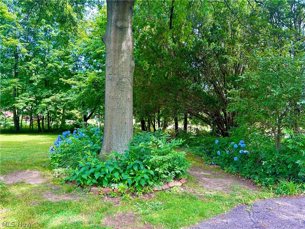 Stanley Road Allotment - Residential
