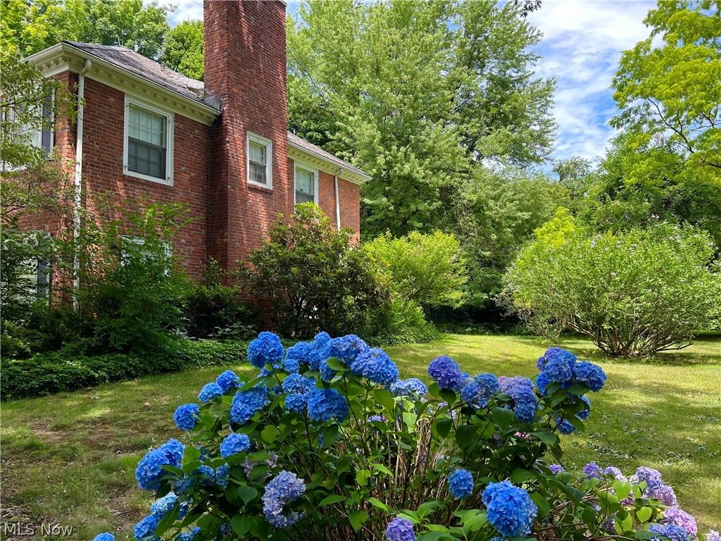 Stanley Road Allotment - Residential