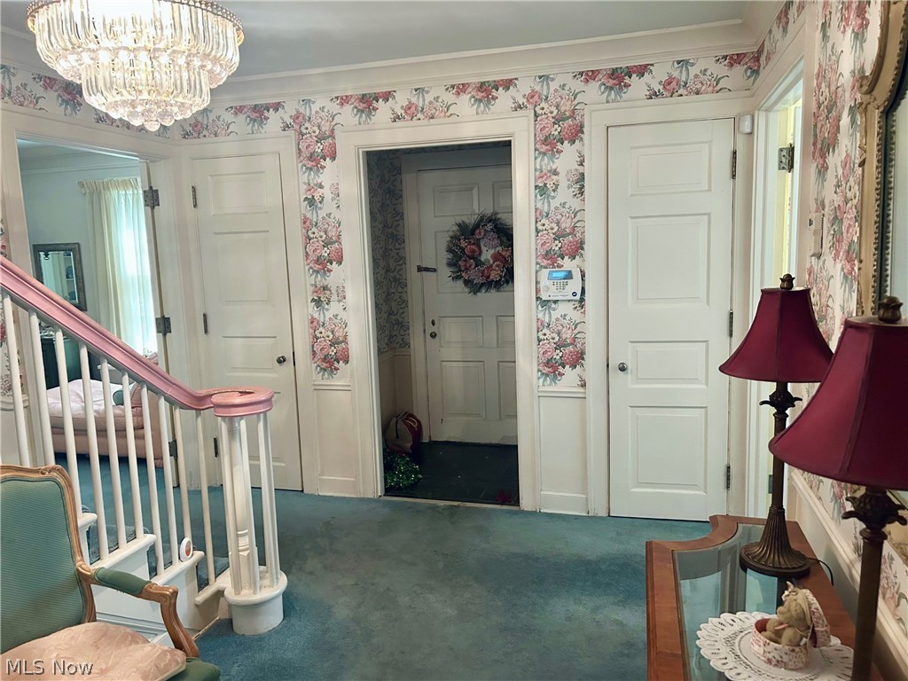 Stanley Road Allotment - Residential