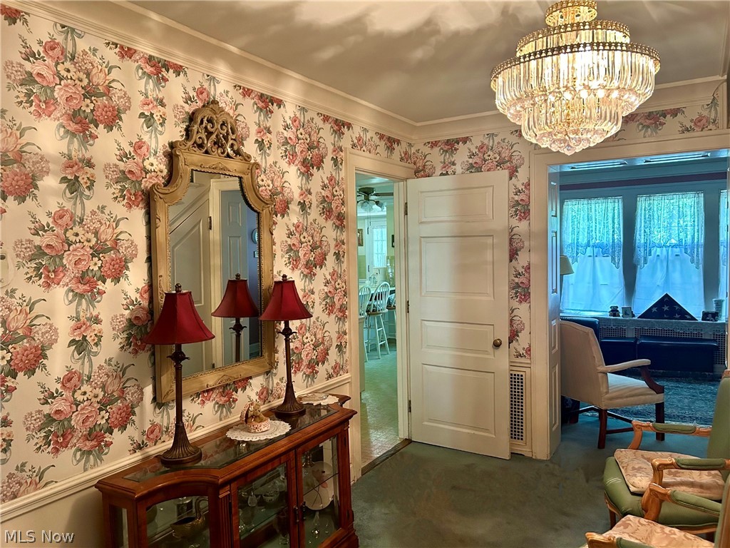 Stanley Road Allotment - Residential