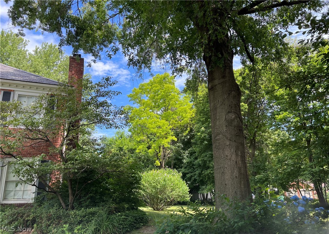 Stanley Road Allotment - Residential