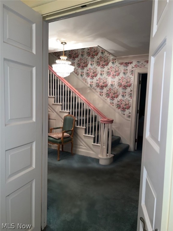 Stanley Road Allotment - Residential