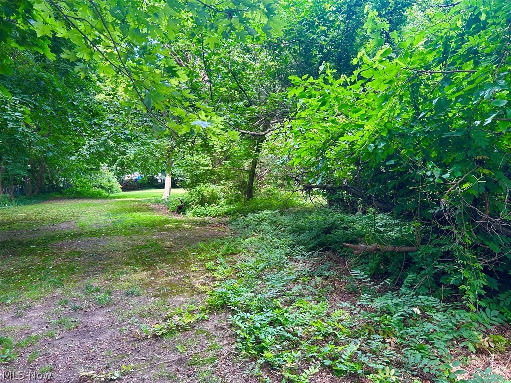 Stanley Road Allotment - Residential