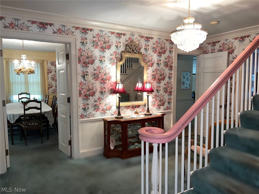 Stanley Road Allotment - Residential