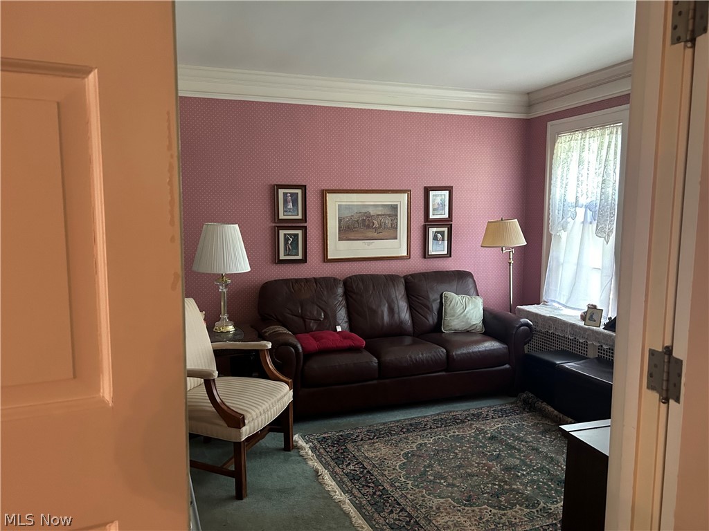 Stanley Road Allotment - Residential