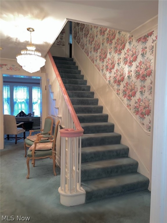 Stanley Road Allotment - Residential