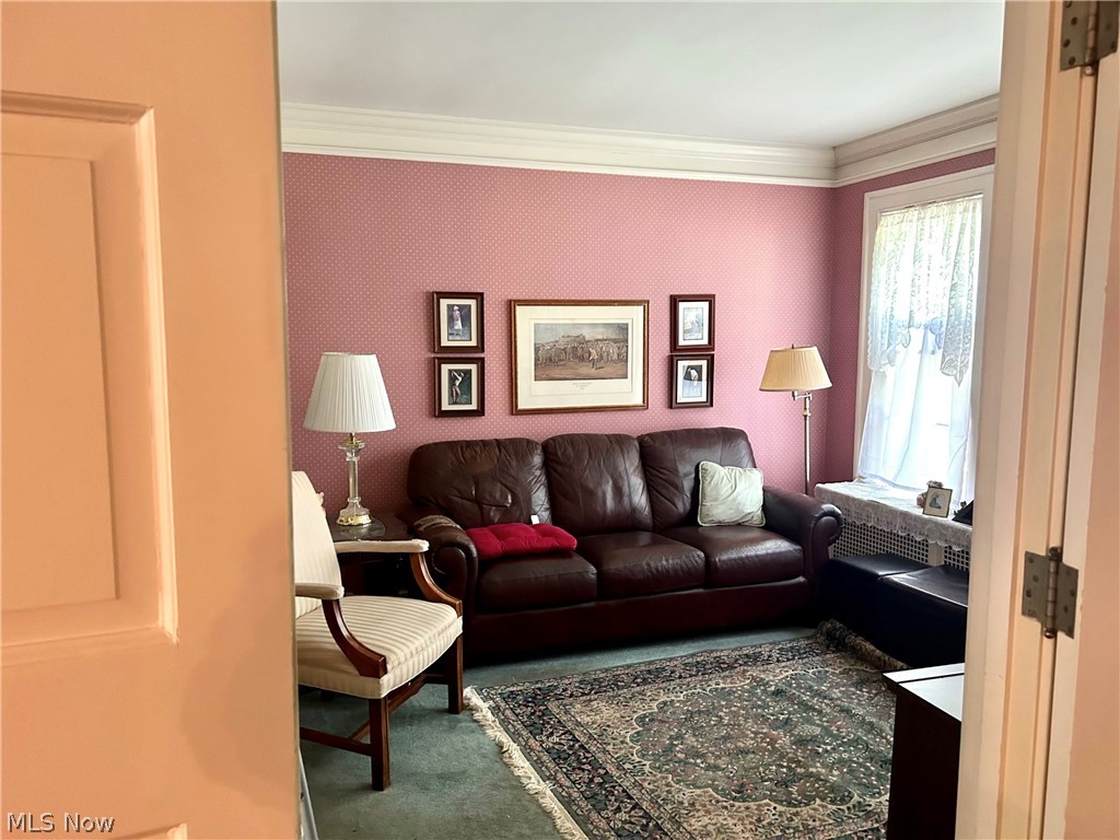 Stanley Road Allotment - Residential