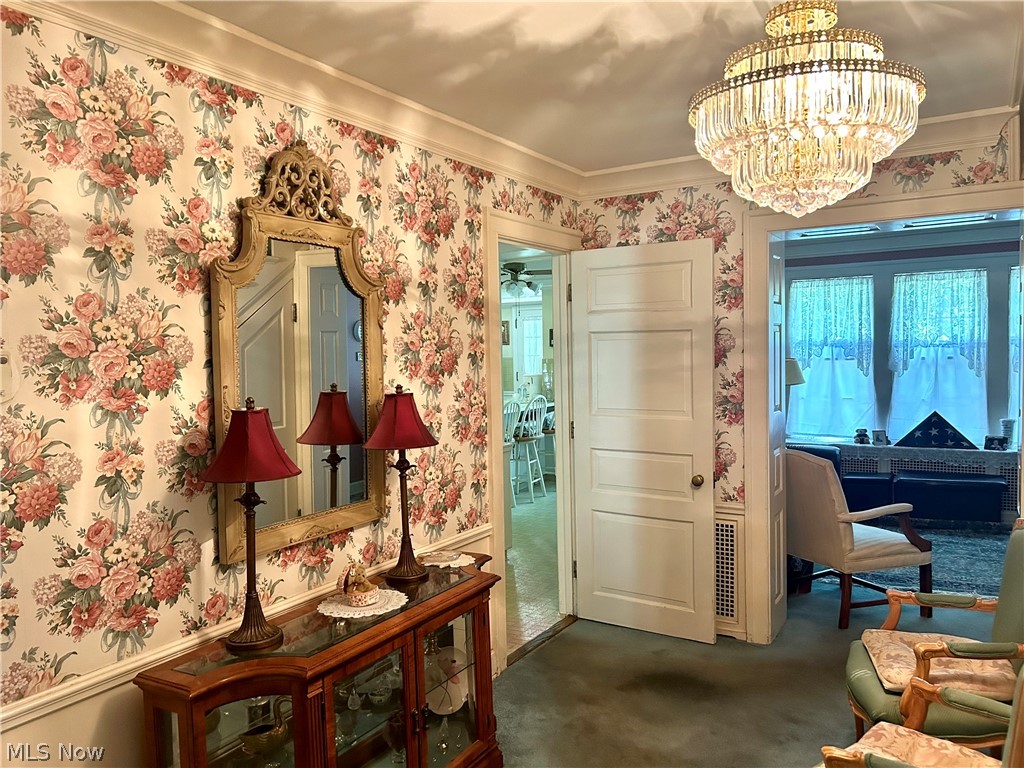 Stanley Road Allotment - Residential