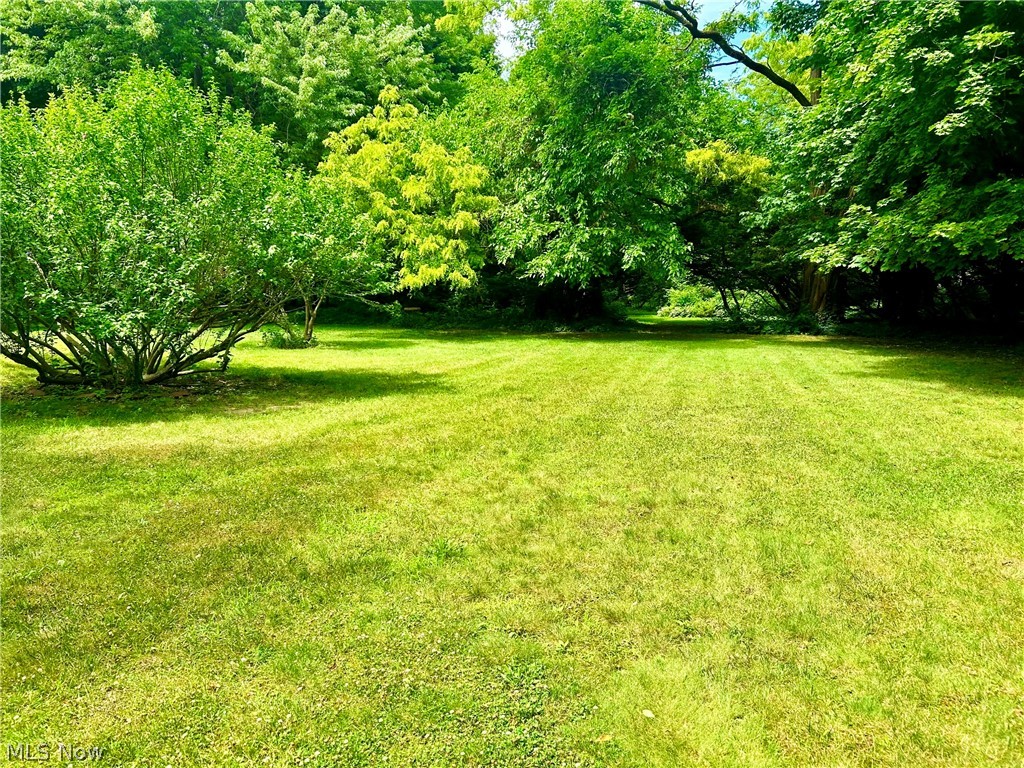 Stanley Road Allotment - Residential
