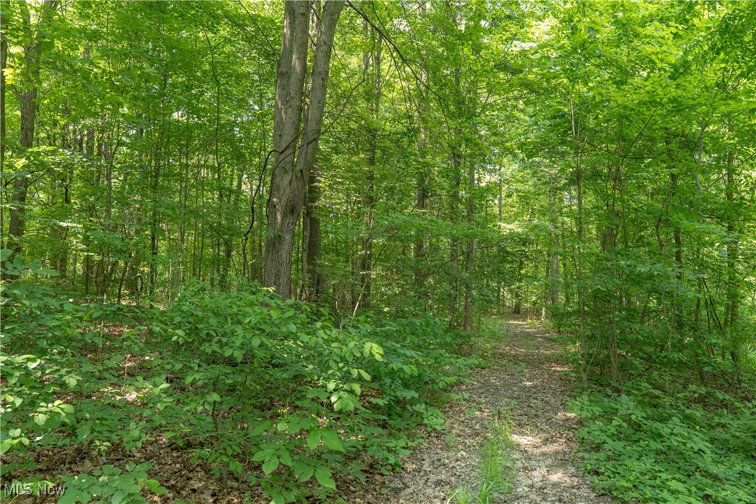 Cr 500, Sullivan, Ohio image 8