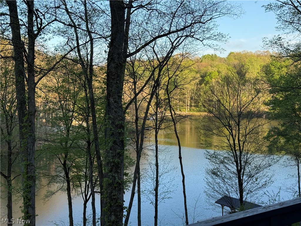 LAKE BUCKHORN - Residential