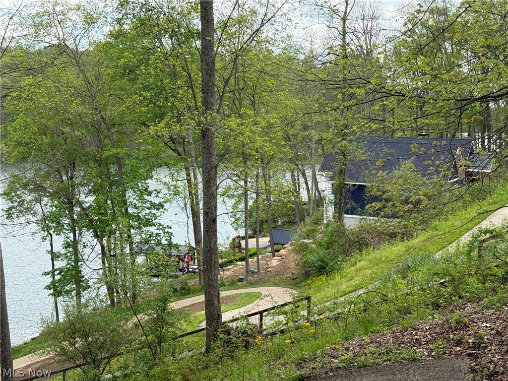 LAKE BUCKHORN - Residential