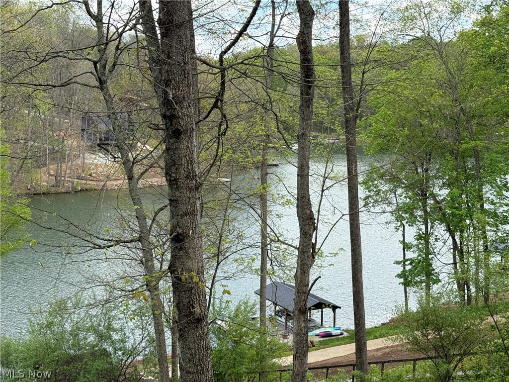 LAKE BUCKHORN - Residential