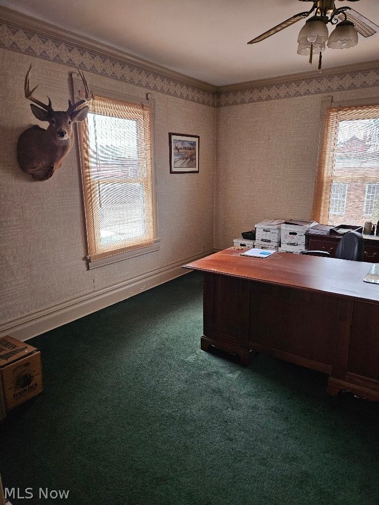 Village/Minerva - Commercial Sale