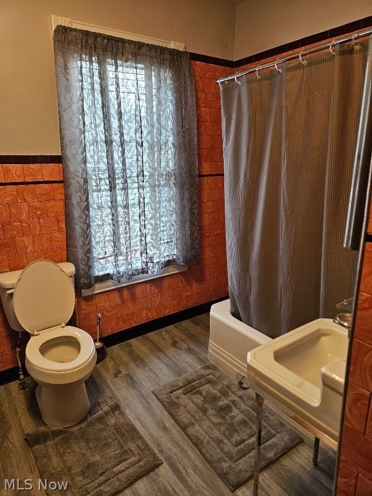 Village/Minerva - Commercial Sale