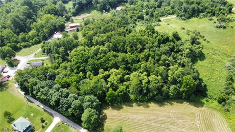 Tiny photo for Township Road 135, Dillonvale, OH 43917 (MLS # 5255570)