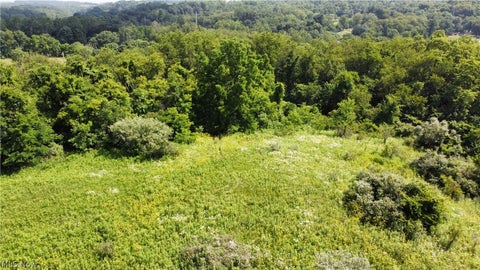Tiny photo for Township Road 135, Dillonvale, OH 43917 (MLS # 5255570)