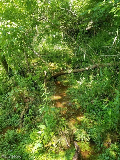 Tiny photo for Township Road 135, Dillonvale, OH 43917 (MLS # 5255570)
