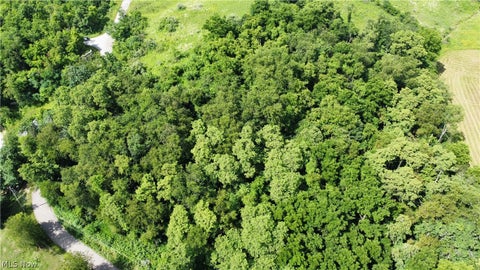 Tiny photo for Township Road 135, Dillonvale, OH 43917 (MLS # 5255570)