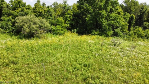 Tiny photo for Township Road 135, Dillonvale, OH 43917 (MLS # 5255570)