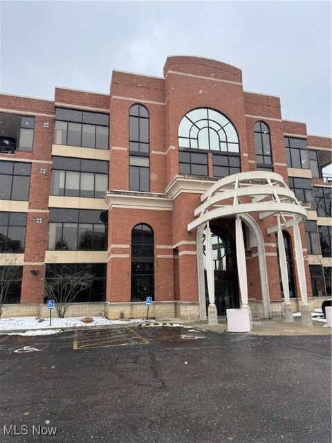 Photo of 822 Kumho Drive #103, Fairlawn, OH 44333 (MLS # 5178996)