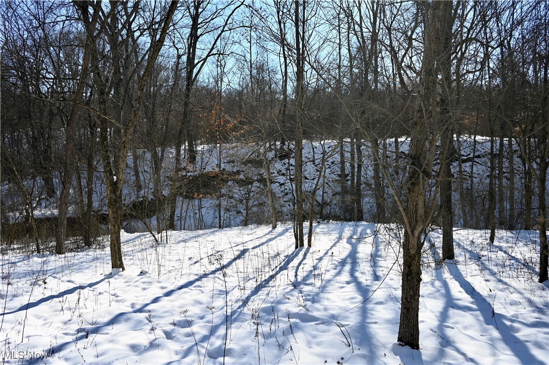 T-ridge Road, Caldwell, Ohio image 11