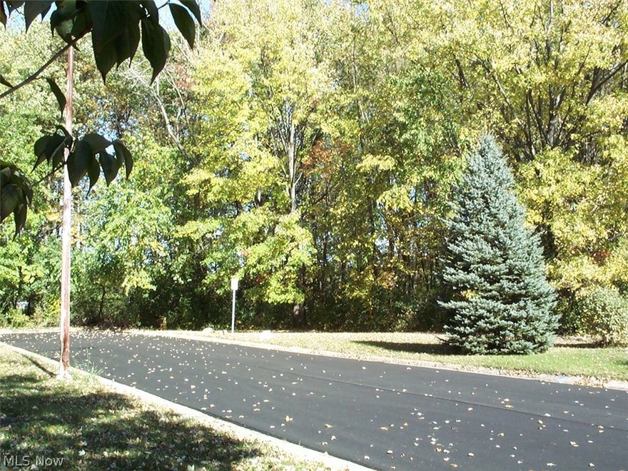 This building lot is located at the end of North Prospect Street.  (on the east side)  This is a tree/wooded lot.