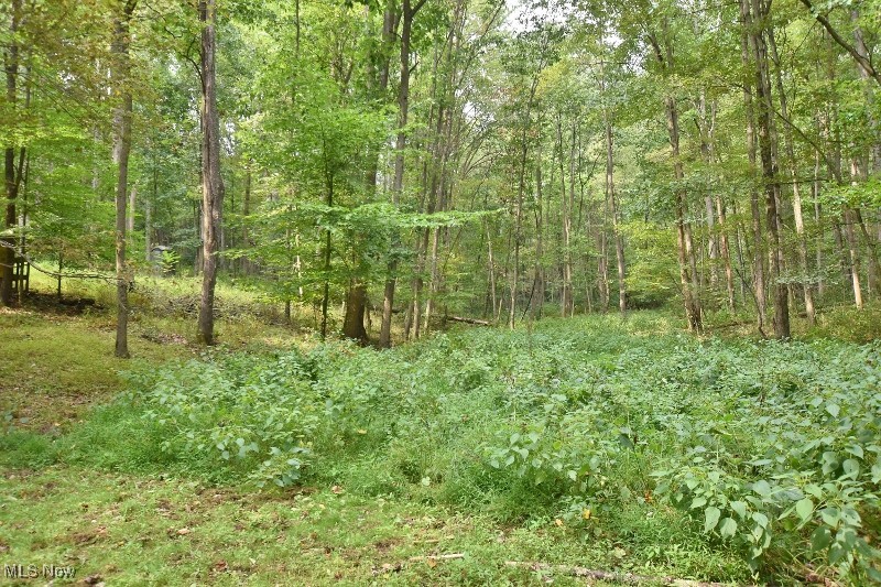 Whispering Pines Sub / Atwood Lake - Residential