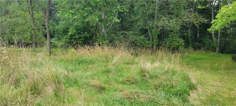 Vacant Land For Sale - 7994 Pinoak Drive<br/> Carrollton, OH 44615