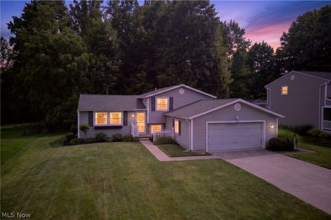 Homes For Sale - 1664 Tinkers View Drive<br/> Twinsburg, OH 44087