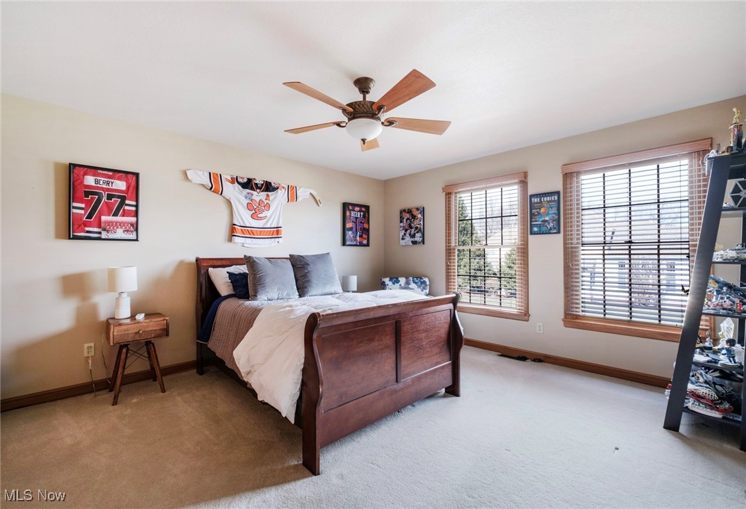 3925 Montereale Drive, Canfield, Ohio image 31