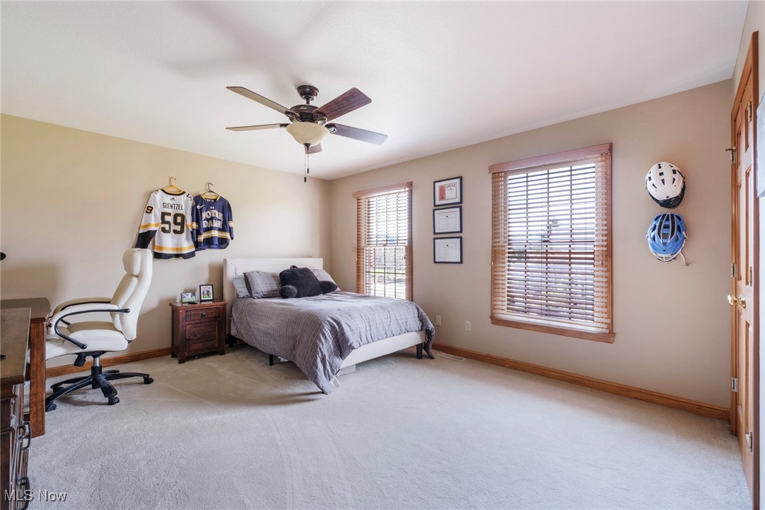 3925 Montereale Drive, Canfield, Ohio image 27