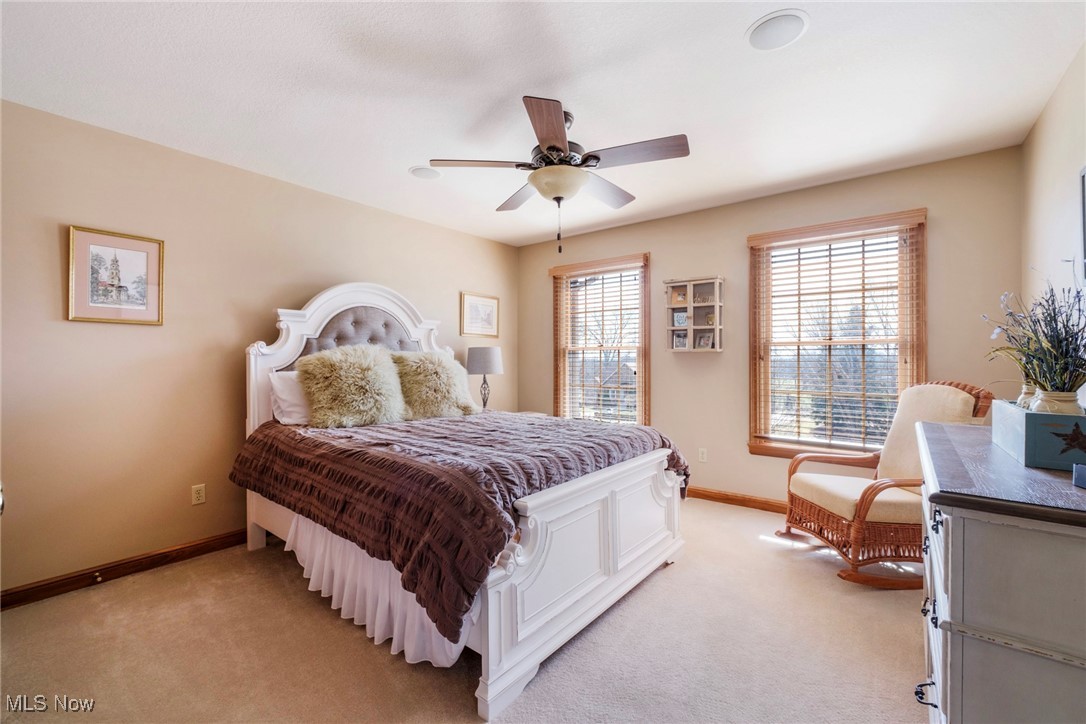 3925 Montereale Drive, Canfield, Ohio image 29