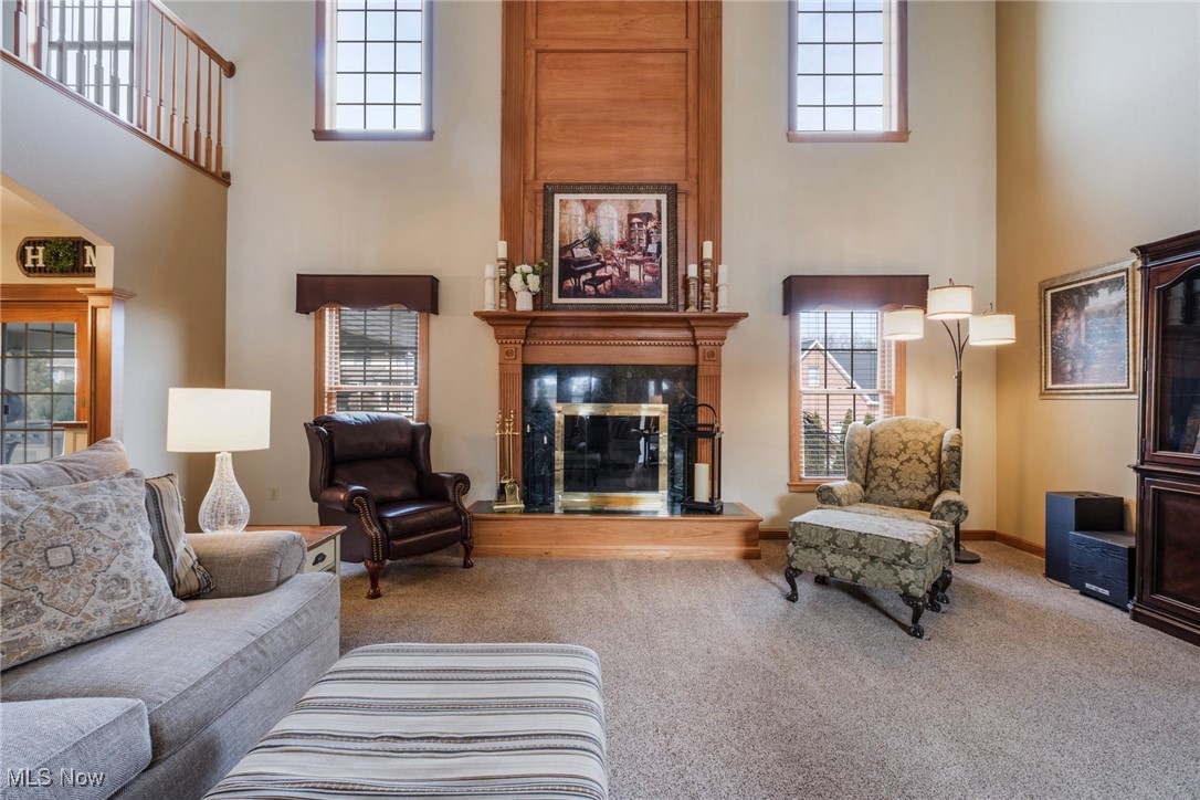 3925 Montereale Drive, Canfield, Ohio image 2