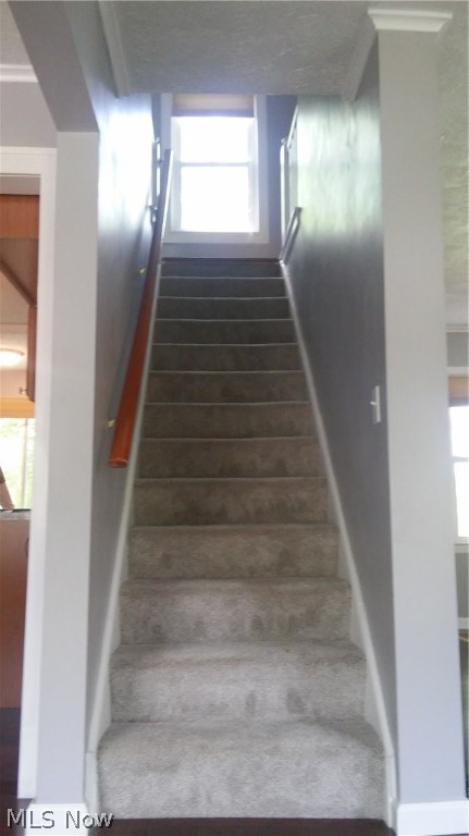 Copley Road 1st Add - Residential