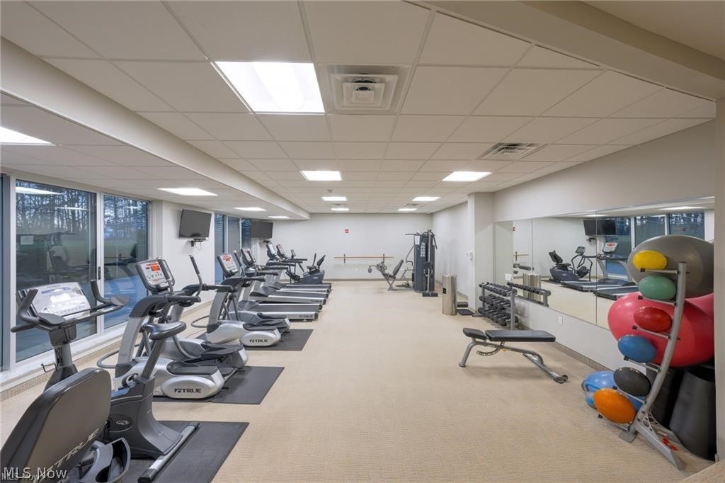 Acacia/Green Condo - Residential