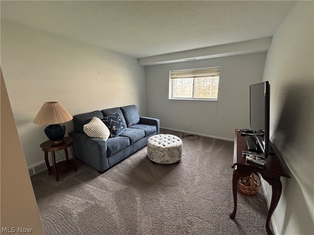 Acacia/Green Condo - Residential