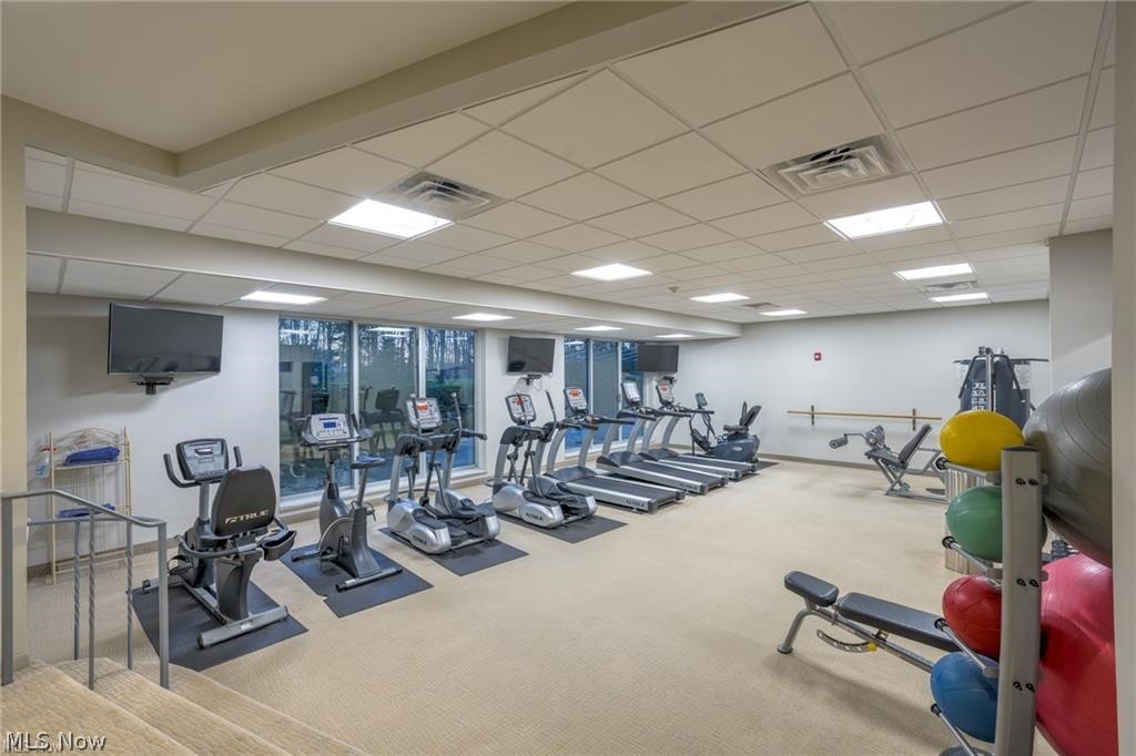 Acacia/Green Condo - Residential