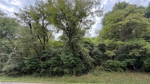 Vacant Land For Sale - Riverside Avenue<br/> Massillon, OH 44647