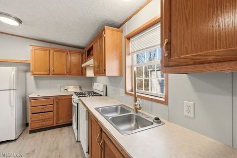 Tiny photo for 6805 Henderson Road, Ravenna, OH 44266 (MLS # 5192208)