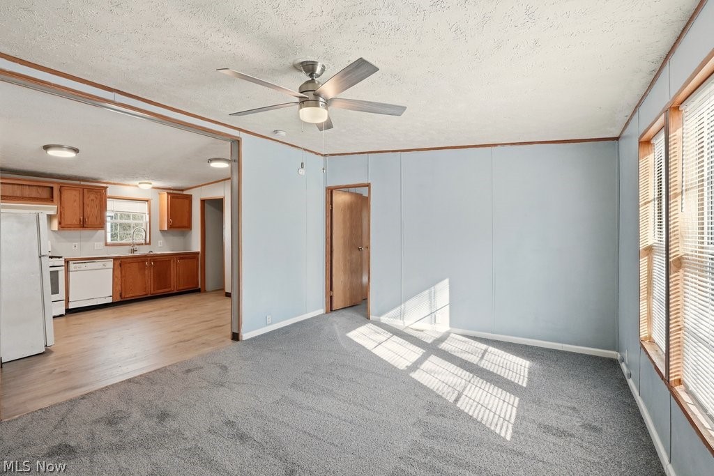 Mcelrath Park Allotment - Residential