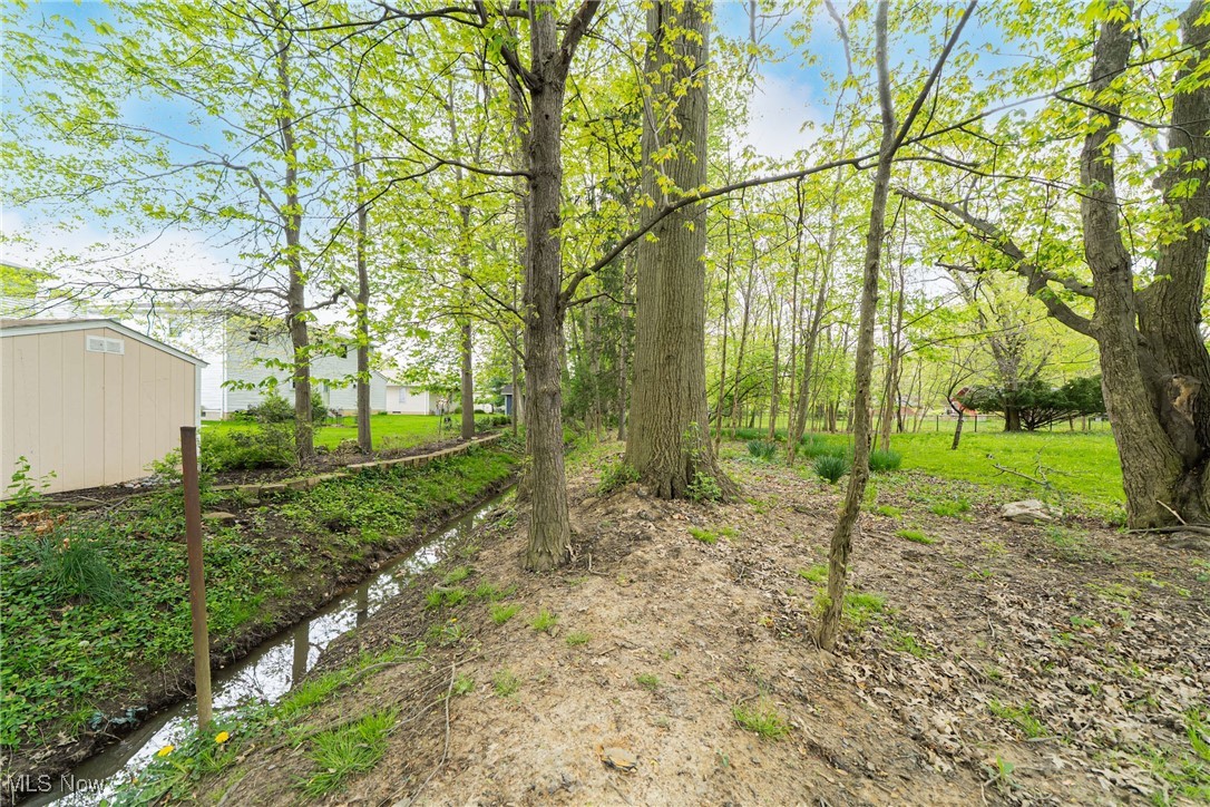 24868 Gessner Road, North Olmsted, Ohio image 42