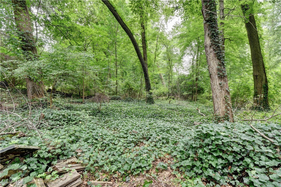 Sagamore Hills Estate Sub - Residential