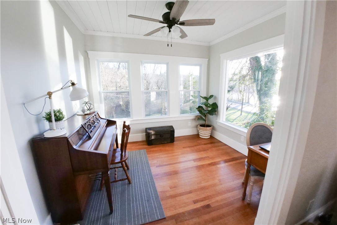 Wisemans Bottom Allotment - Residential