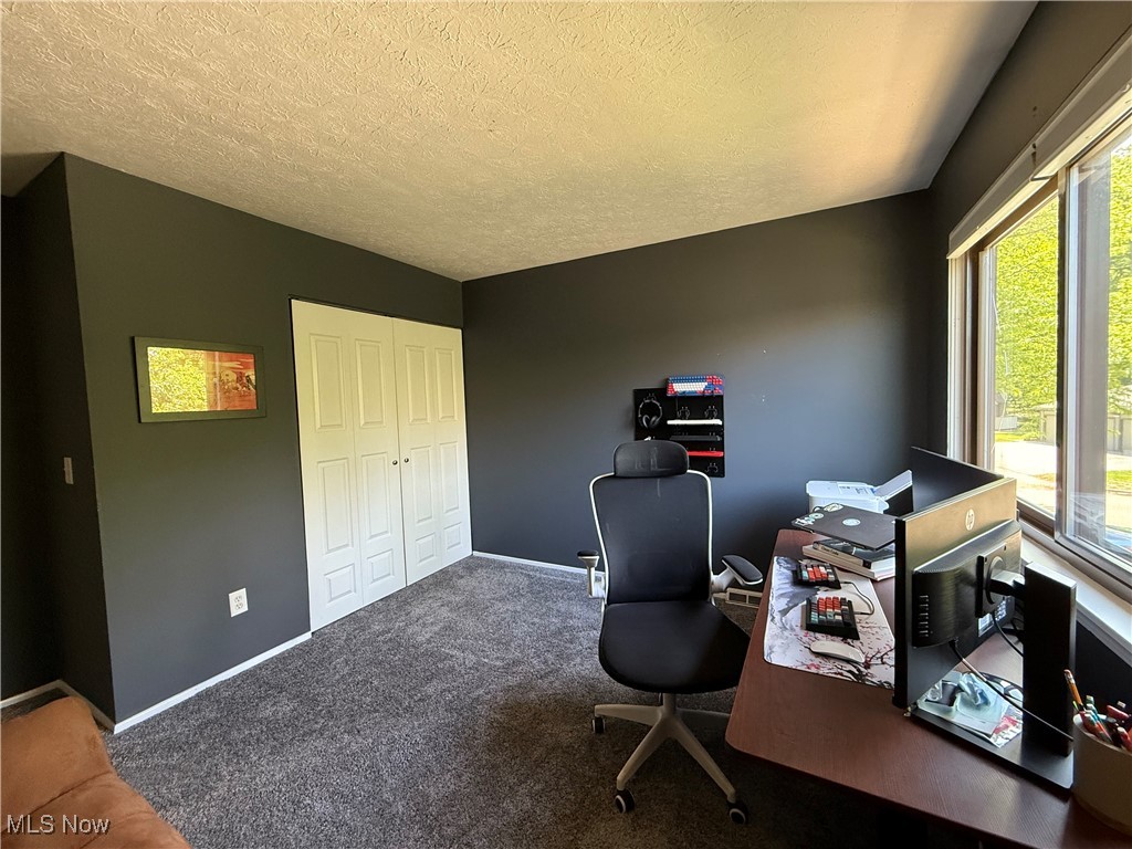 35263 S Turtle Trail #D, Willoughby, Ohio image 13