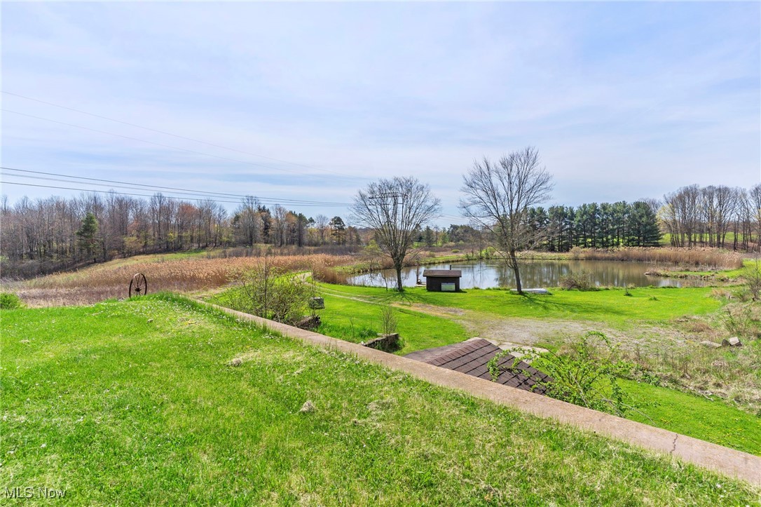 10334 Akron Canfield Road, Canfield, Ohio image 17