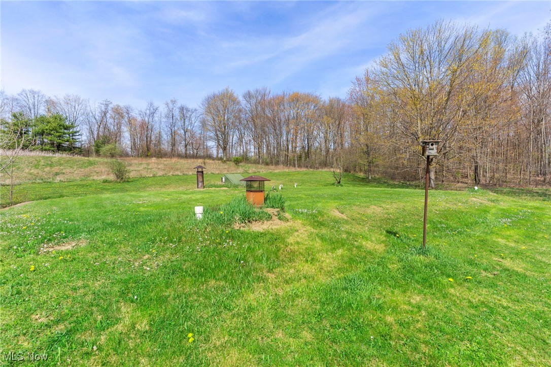 10334 Akron Canfield Road, Canfield, Ohio image 16