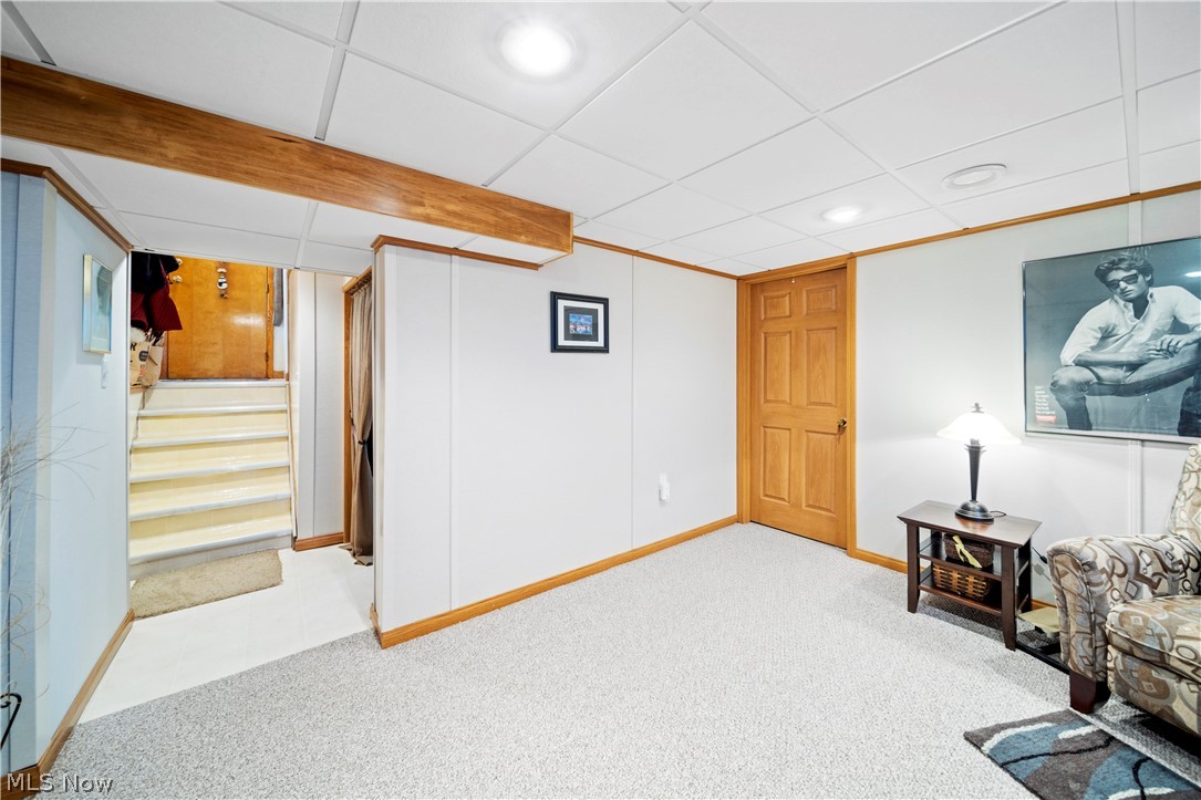 Nehls Park Drive - Residential