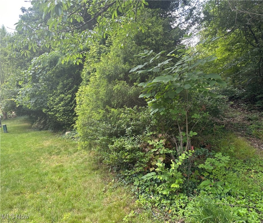 Belleau Wood Drive, Akron, Ohio image 2