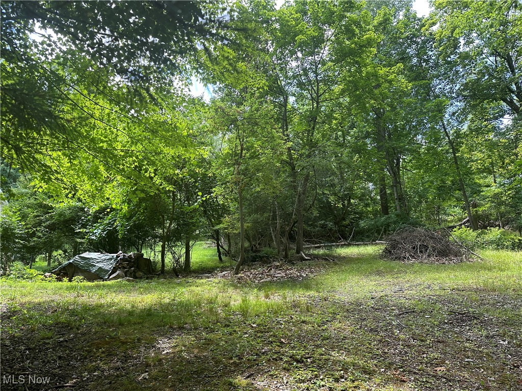 Belleau Wood Drive, Akron, Ohio image 9